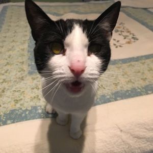 Meet your Posher, Kathie